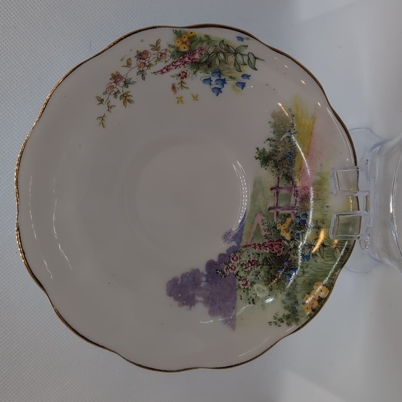 Royal Albert Tea Cup and Saucer - Picture 2 of 8